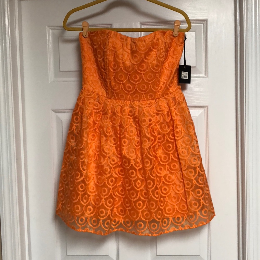 BB Dakota Dress